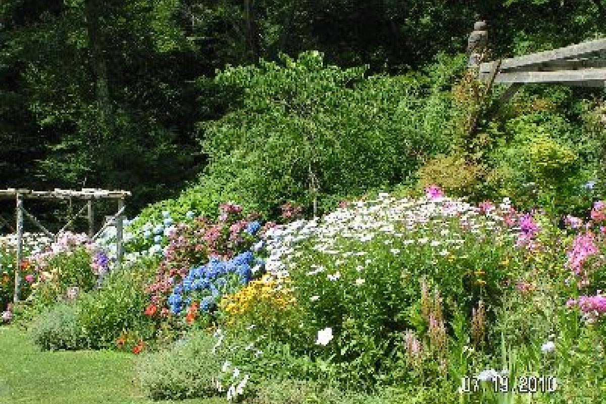 Garden on Kelsey Hill Road by Gina Sopneski