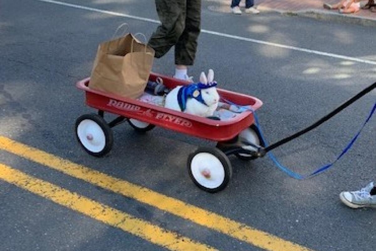 wagon with animal