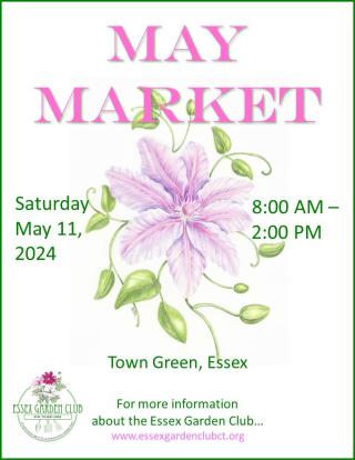 may essex flowers market